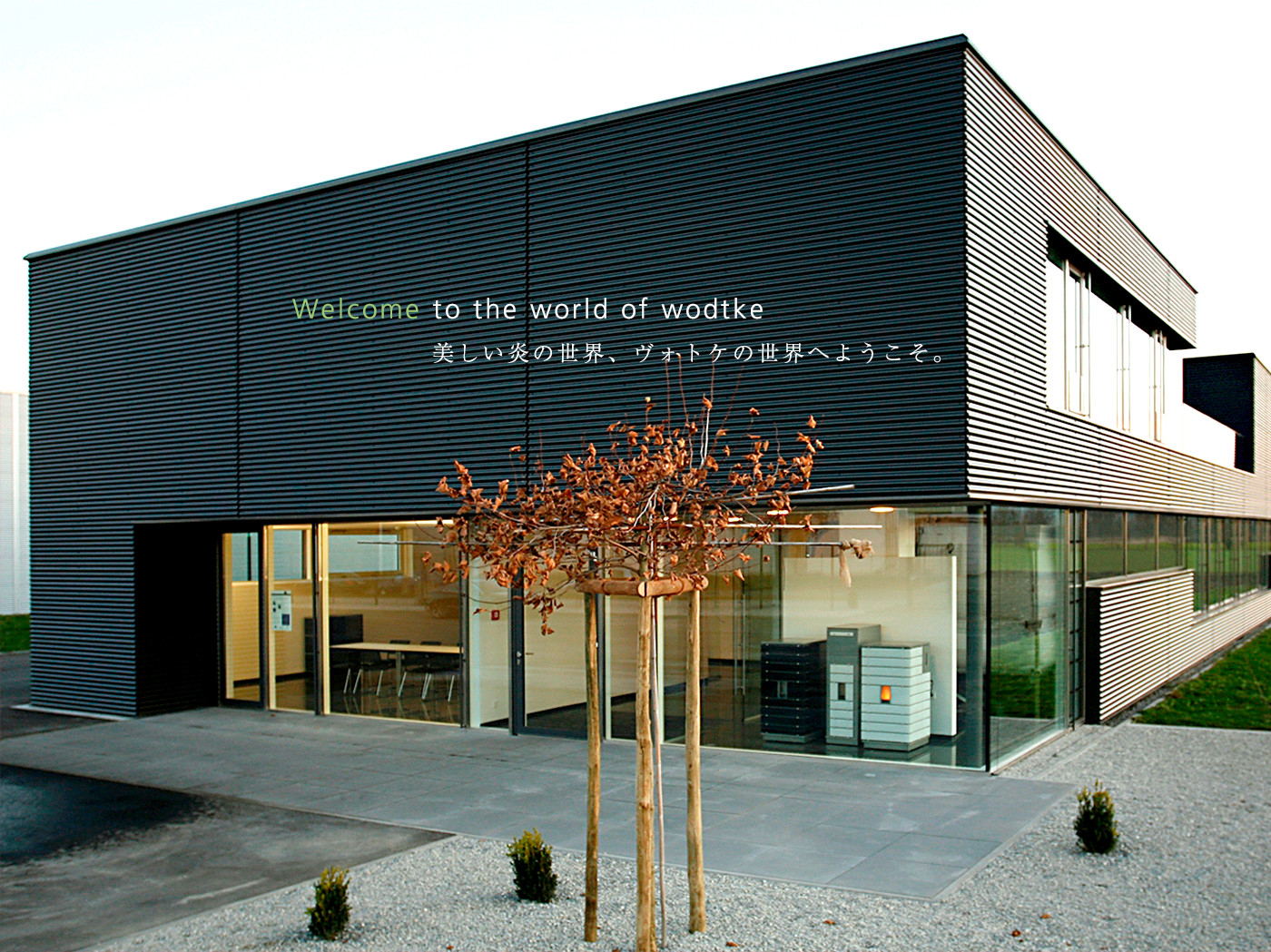 美しい炎の世界、ヴォトケの世界へようこそ。